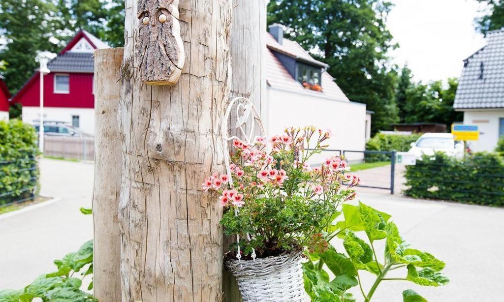 Sonnenblumenhaus 02 Apartment Преров Екстериор снимка