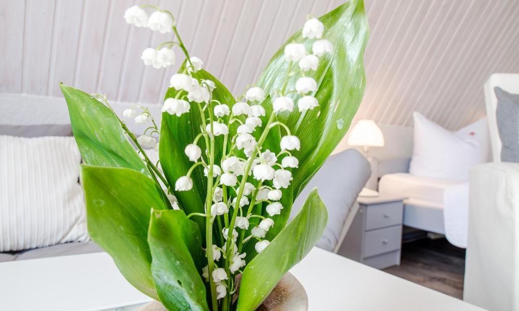 Sonnenblumenhaus 02 Apartment Преров Екстериор снимка